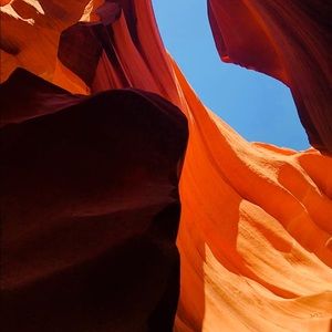 Meet your Posher, Ronald